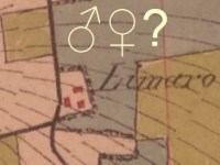 Une histoire de sexe&nbsp;?