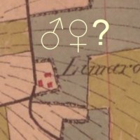 Une histoire de sexe&nbsp;?