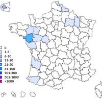 HALET, les vers&nbsp;!